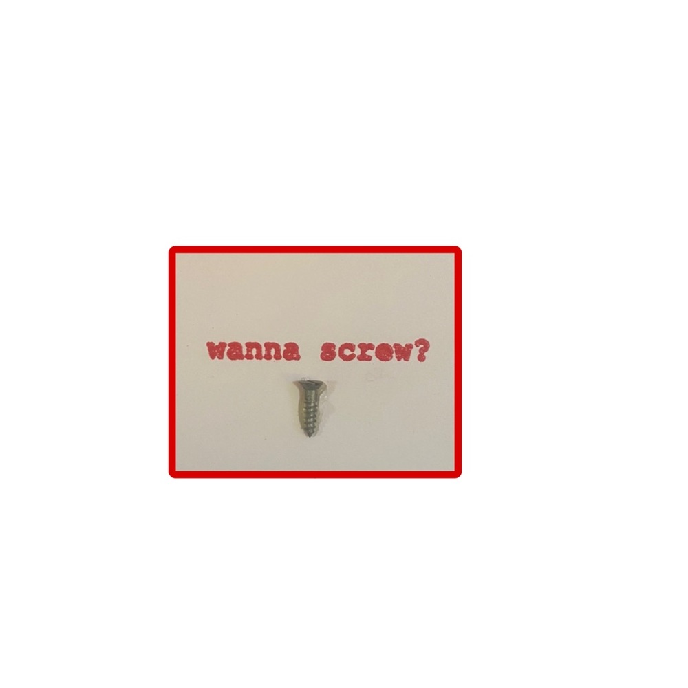 🌹Valentine’s day wanna screw card